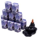 Masala Backflow Incense pack of 10 - Everest
