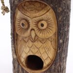 Tree Trunk Face - Bird House - Wise Owl - immagine 5