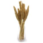 Cantal Grass Bunch - Natural - immagine 6