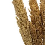 Cantal Grass Bunch - Natural - immagine 7