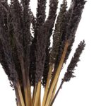 Cantal Grass Bunch - Black - immagine 5