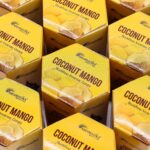 Masala Backflow Incense pack of 10 - Coconut & Mango - immagine 5