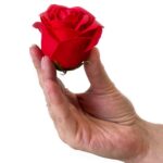 Soap Flower Gift Bouquet - 9 Red Roses - Square - immagine 8