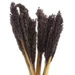Cantal Grass Bunch - Black - immagine 2