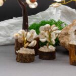 Small Gomati Chakra Circle Stone Trees-(15 stones) - immagine 3