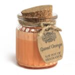 Spiced Orange Soy Pot of Fragrance Candle - immagine 5