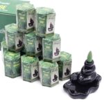 Masala Backflow Incense pack of 10 - Sage