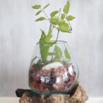 Molten Glass on Wood with Stand - Large Bowl - immagine 5