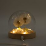 Floral Glow Garden Dome - 2 Dandelions - LED USB - immagine 6