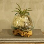 Molten Glass on Wood - Small Bowl - immagine 7