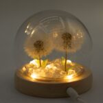Floral Glow Garden Dome - 2 Dandelions - LED USB - immagine 2