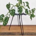 Albasia Wood Fish Stand - Greywash - immagine 3