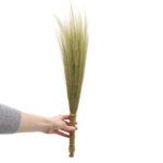 Set 4 - Pampas Broom - Natural - immagine 2