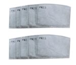 PM2.5 Face Covering Filter Insert (Adult)