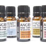 10ml Aromatherapy Car Blend - Focus & Drive