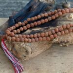 108 Rudraksha Mala - Natural - immagine 4