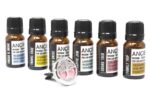 10ml Aromatherapy Car Blend - Family Trip - immagine 4