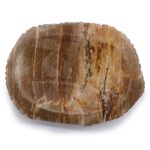 Petrified Wood Brown Soap Dish - immagine 2