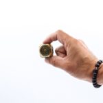 Feng Shui Fortune - Traditional Zodiac Symbol Dice - immagine 4