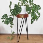 Albasia Wood Plant Stand - Whitewash - immagine 2