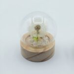 Floral Glow Garden Dome - 1 Dandilion- LED Battery - immagine 3