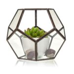 Glass Terrarium - Large Octagon - immagine 2