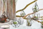 Glass Terrarium - Cube on Corner - immagine 3