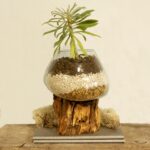 Molten Glass on Wood - Large Bowl - immagine 6