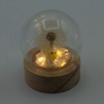 Floral Glow Garden Dome - 1 Dandilion- LED Battery - immagine 4