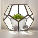Glass Terrarium - Large Octagon - immagine 4