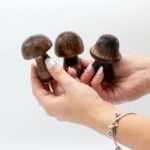 Set of 3 Mini Incense Mushrooms (8cm 7cm 6.5cm) - immagine 6