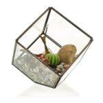 Glass Terrarium - Cube on Corner - immagine 2