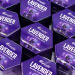 Masala Backflow Incense pack of 10 - Lavender - immagine 4