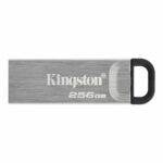 Memoria USB Kingston Nero 256 GB