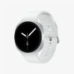 Smartwatch Samsung SM-L325FZSAEUB
