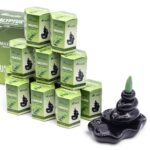 Masala Backflow Incense pack of 10 - Eucalyptus