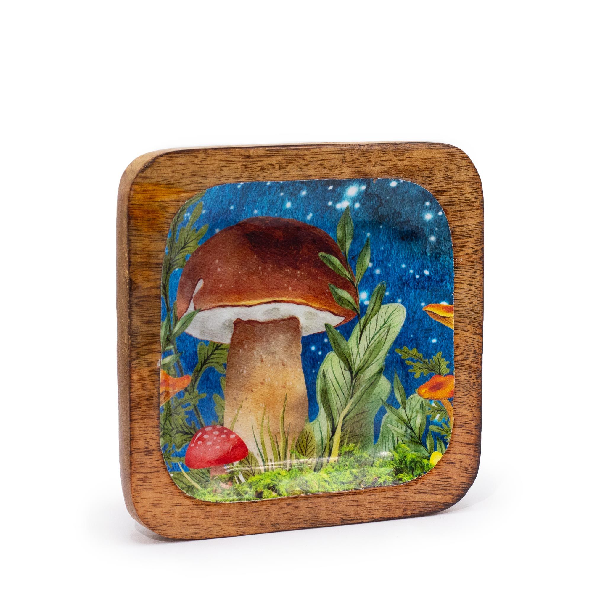 bG9jYWw6Ly9tZWRpYS8xSC82RC82MFIzMEMxSDc0UjM2RDFILzI1MDlhMzZhLmpwZWc.jpg Big Square Trinket Tray 15x15x2.5cm - Mushroom Design Teal - immagine 1