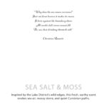 Agnes + Cat Botanical Soy Wax Candle - Seasalt & Moss - immagine 3