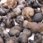 Mineral Specimens - Calsidone (approx 100 pieces) - immagine 8