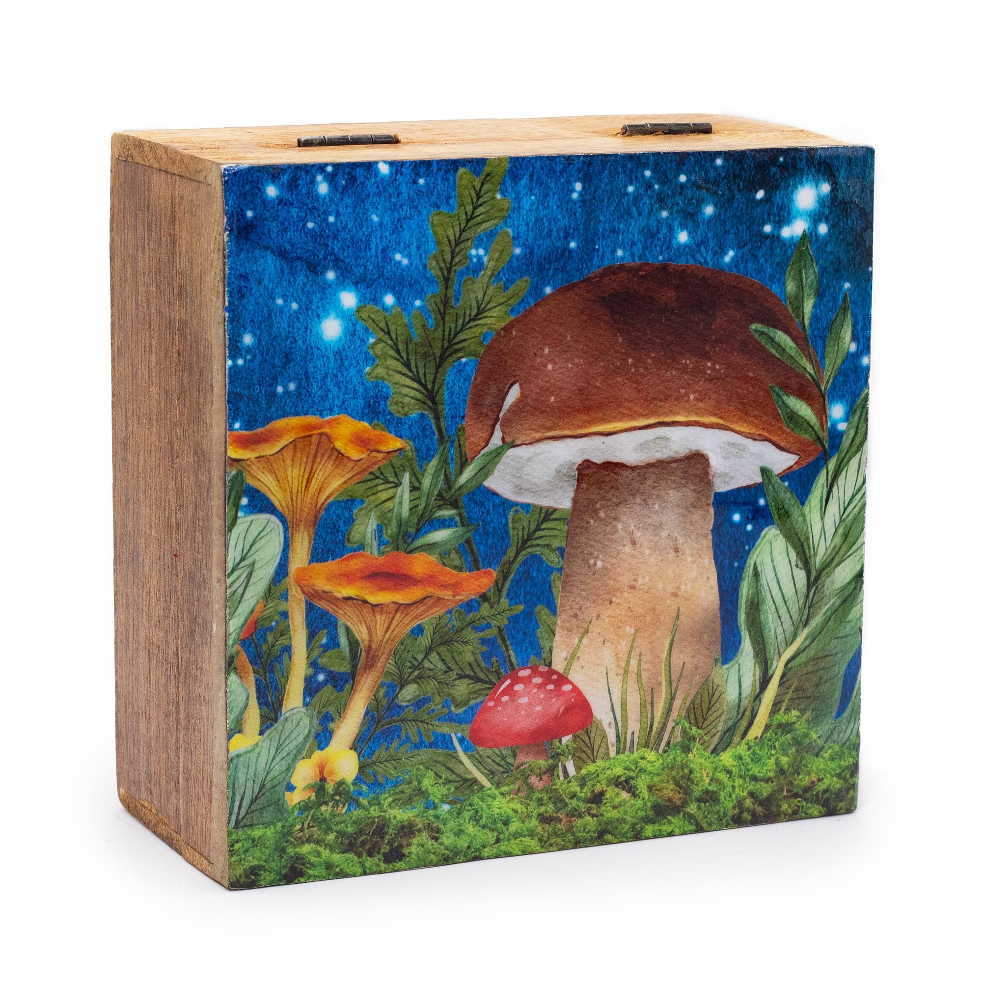 bG9jYWw6Ly9tZWRpYS9ITS82Qy82MFIzMEMxSDc0UjM2Q0hNLzQ5ZTIyMjgzLmpwZWc.jpg Big Square Box 15x17.5x8cm - Mushroom Design Teal - immagine 1