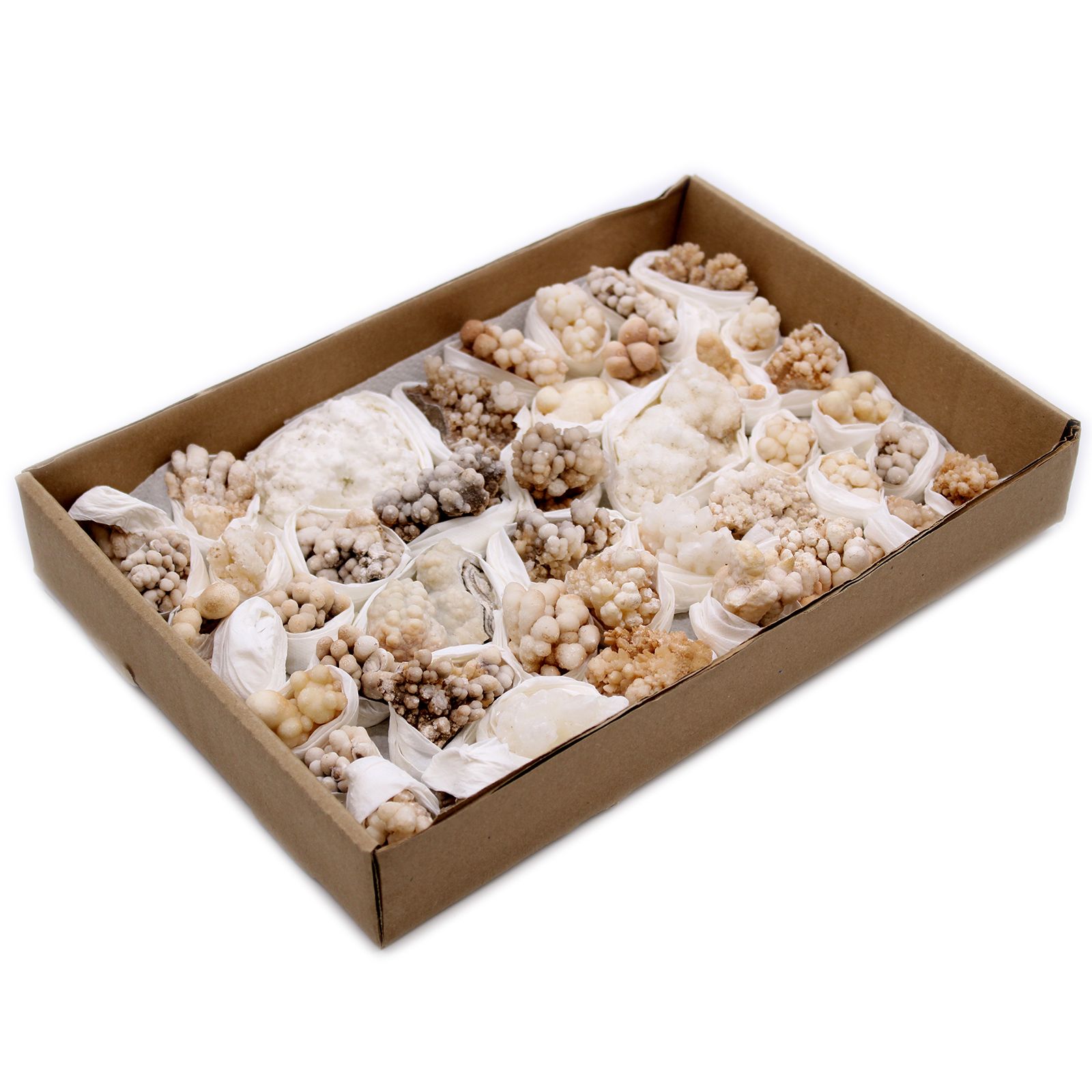 bG9jYWw6Ly9tZWRpYS9TRy8yQy82MFIzMEMxRzZSVjMyQ1NHLzkyMDJiMjQ1LmpwZWc-1.jpg Mineral Specimens - Flower Calcite (approx 20 pieces) - immagine 1