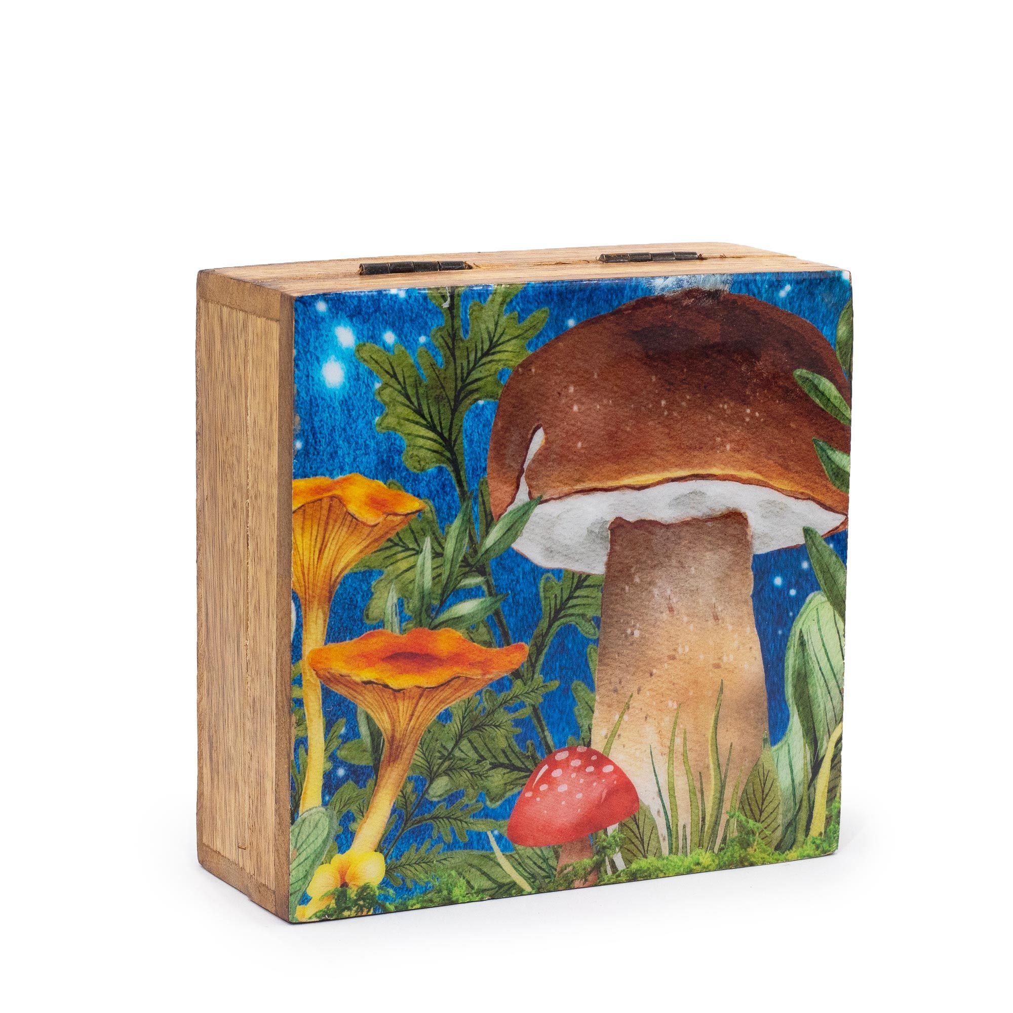 bG9jYWw6Ly9tZWRpYS9TUy80Qy82MFIzMEMxSDc0UjM0Q1NTLzhjNDA4NjI4LmpwZWc.jpg Med Square Box 13.5x13.5x6cm - Mushroom Design Teal - immagine 1